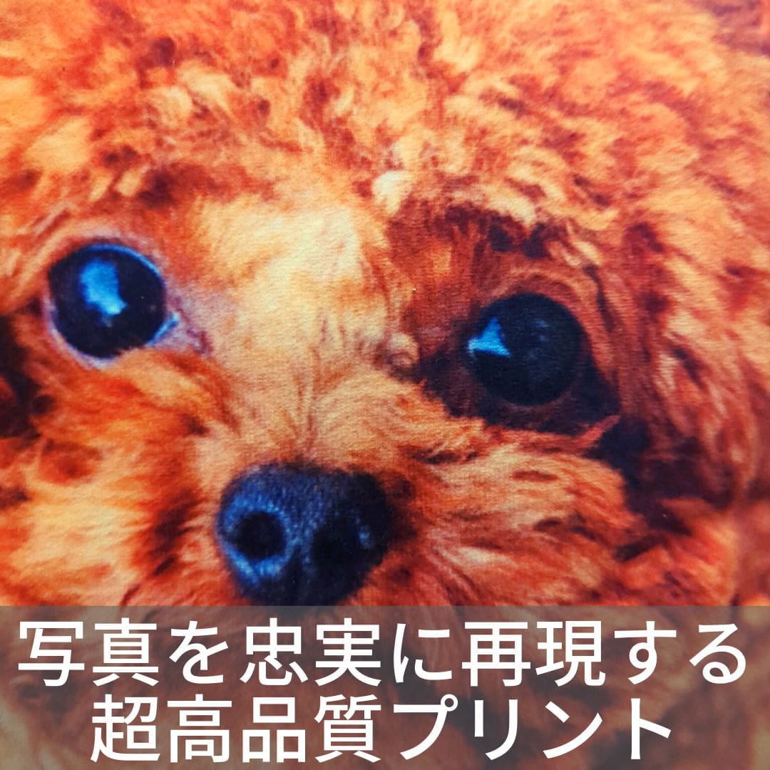 世界にひとつだけ♪好きな写真で作るオーダーメイドクッション(20~80cm)