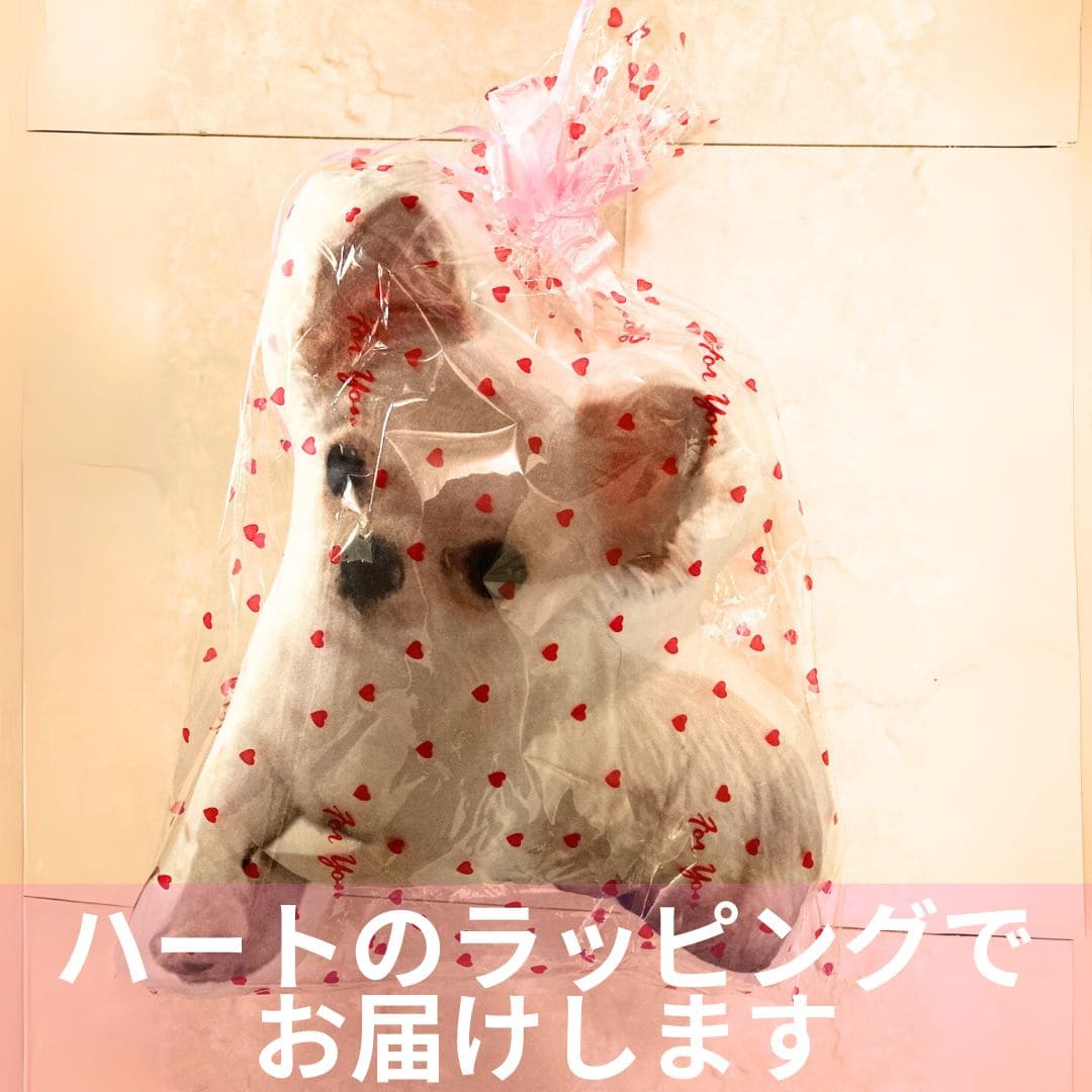 世界にひとつだけ♪好きな写真で作るオーダーメイドクッション(20~80cm)
