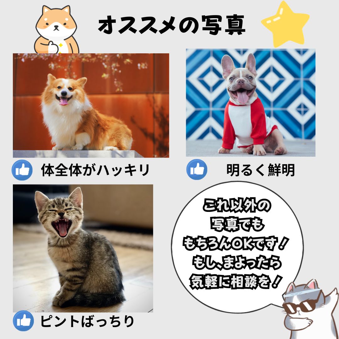 世界にひとつだけ♪好きな写真で作るオーダーメイドクッション(20~80cm)