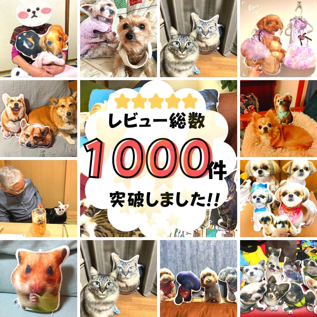 【特別会員様限定商品】