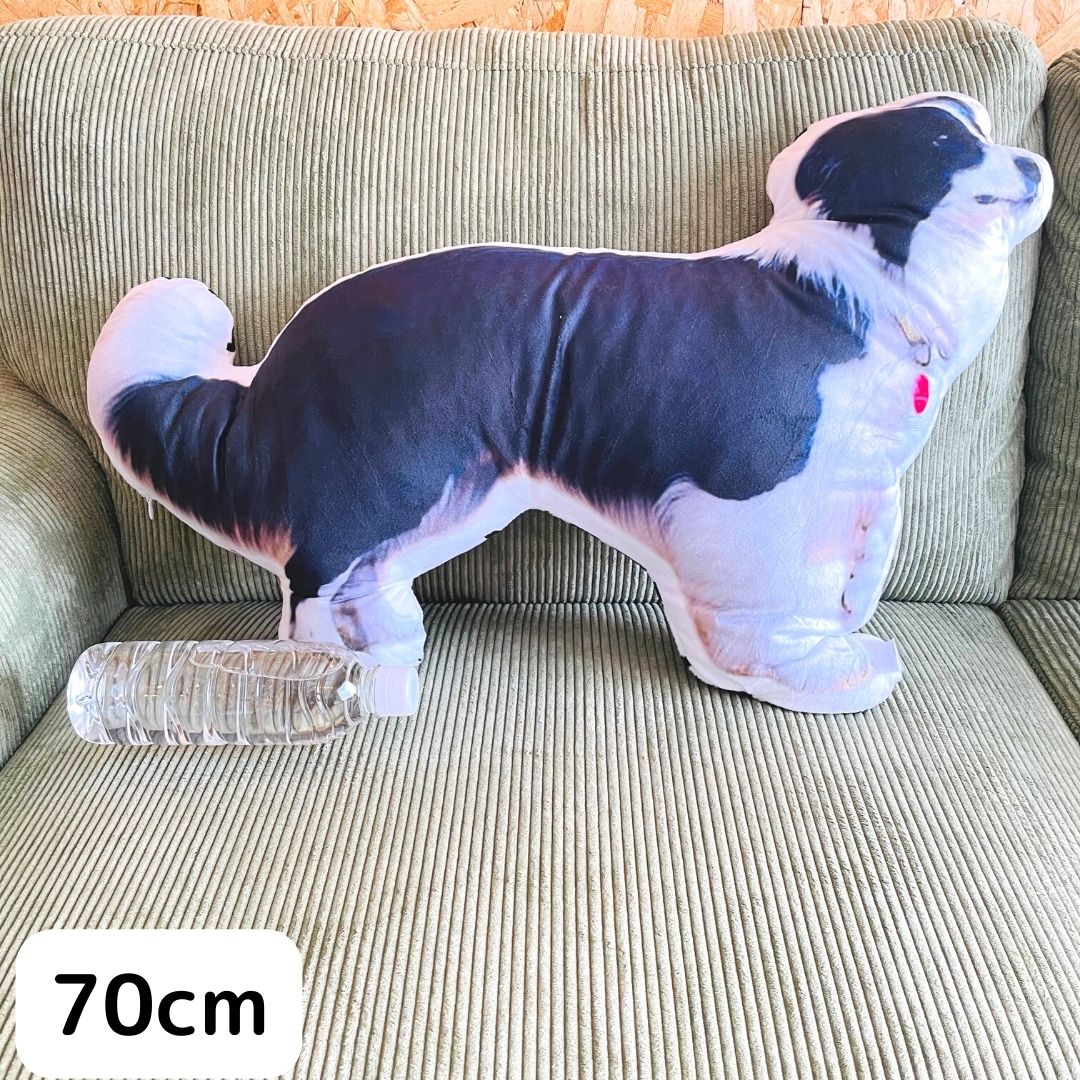 世界にひとつだけ♪好きな写真で作るオーダーメイドクッション(20~80cm)