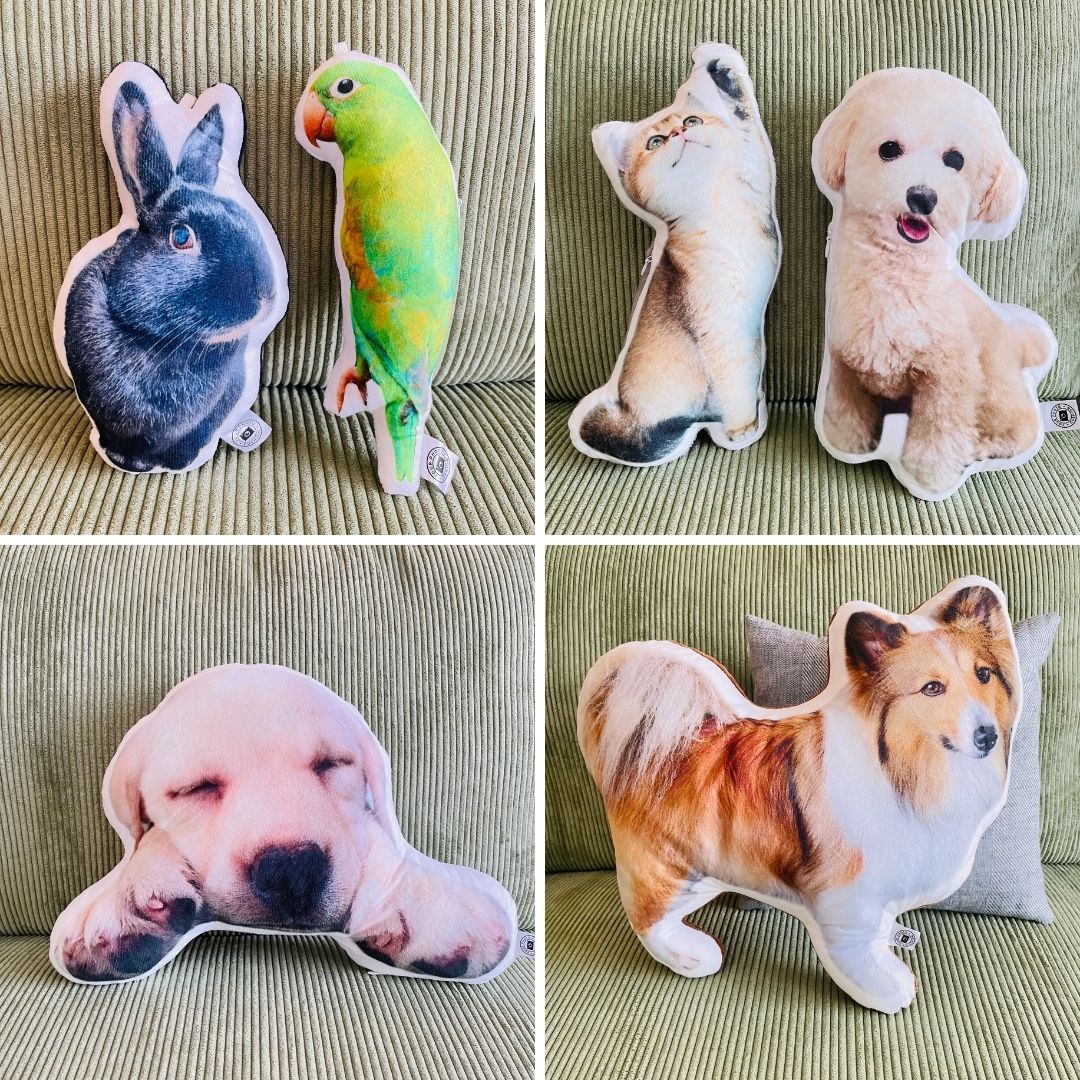 【特別会員様限定商品】