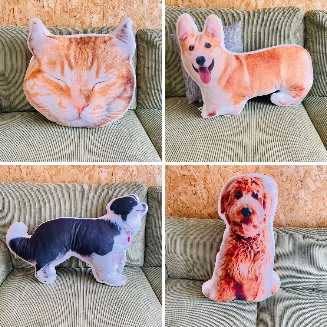 【特別会員様限定商品】