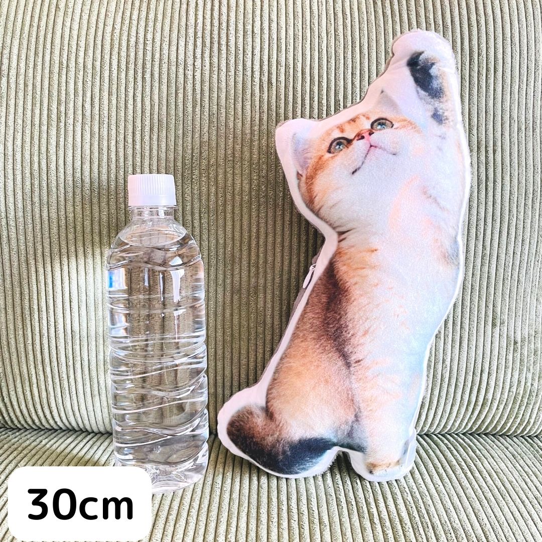世界にひとつだけ♪好きな写真で作るオーダーメイドクッション(20~80cm)