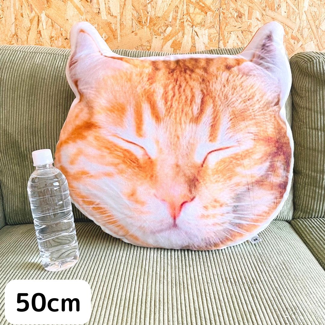 世界にひとつだけ♪好きな写真で作るオーダーメイドクッション(20~80cm)