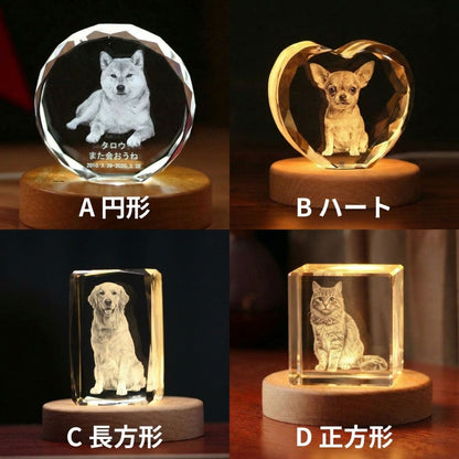 オーダーメイドクリスタルペットオブジェ3D メモリアルセット