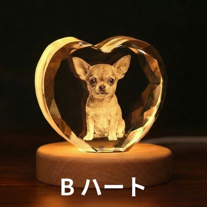オーダーメイドクリスタルペットオブジェ3D メモリアルセット
