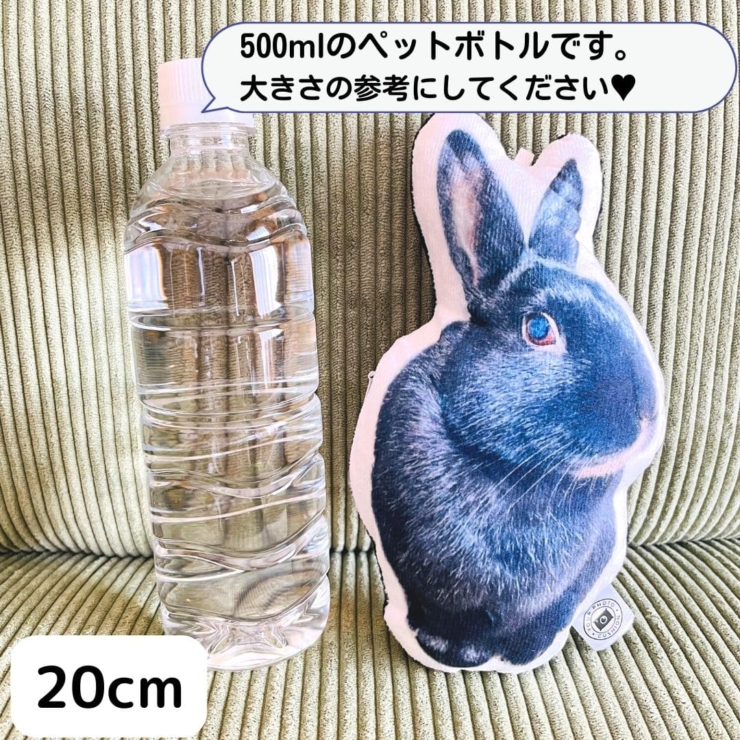 世界にひとつだけ♪好きな写真で作るオーダーメイドクッション（20～80cm）